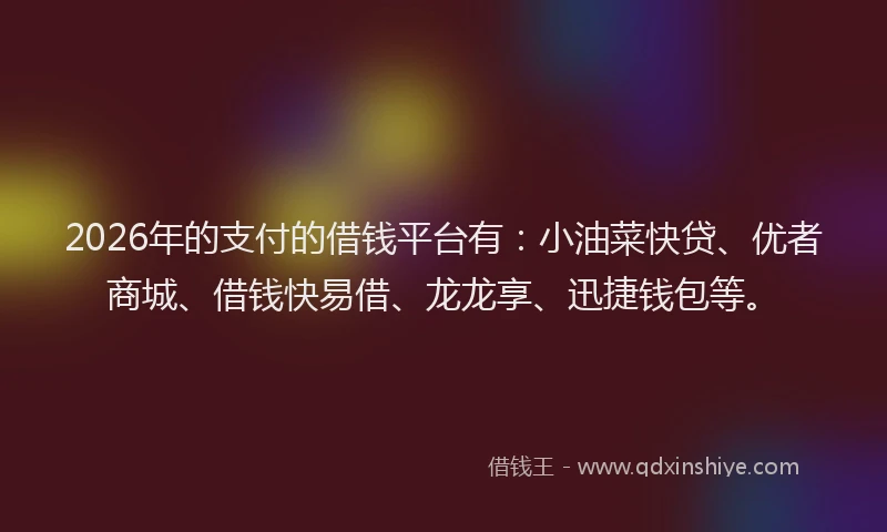2026年的支付的借钱平台有：小油菜快贷、优者商城、借钱快易借、龙龙享、迅捷钱包等。