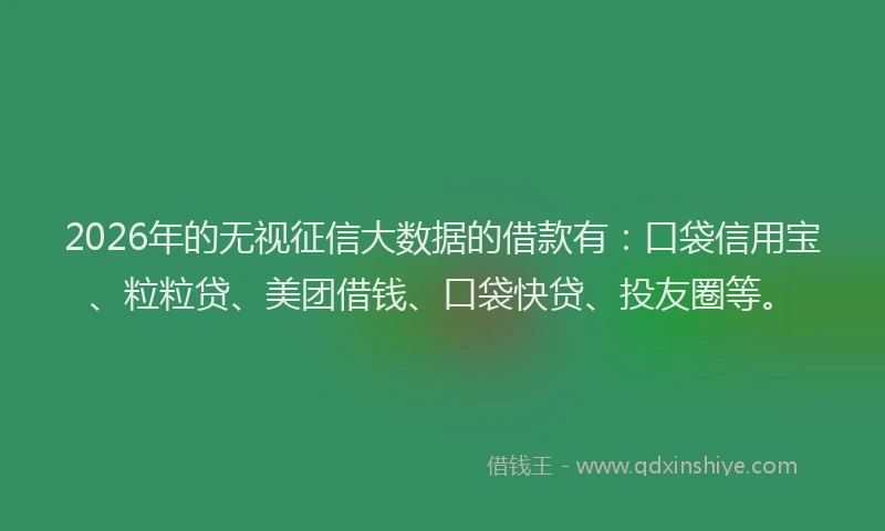 2026年的无视征信大数据的借款有：口袋信用宝、粒粒贷、美团借钱、口袋快贷、投友圈等。