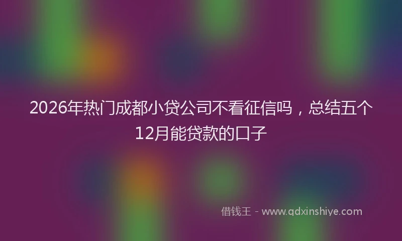 2026年热门成都小贷公司不看征信吗，总结五个12月能贷款的口子