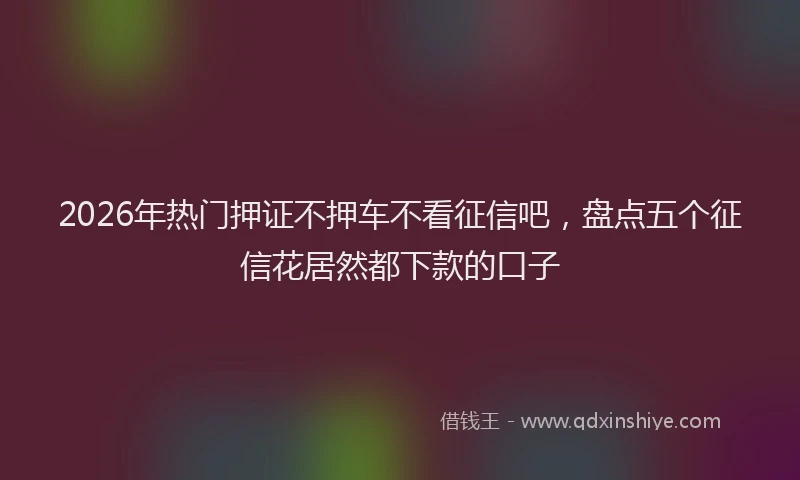 2026年热门押证不押车不看征信吧,盘点五个征信花居然都下款的口子