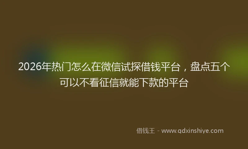 2026年热门怎么在微信试探借钱平台，盘点五个可以不看征信就能下款的平台
