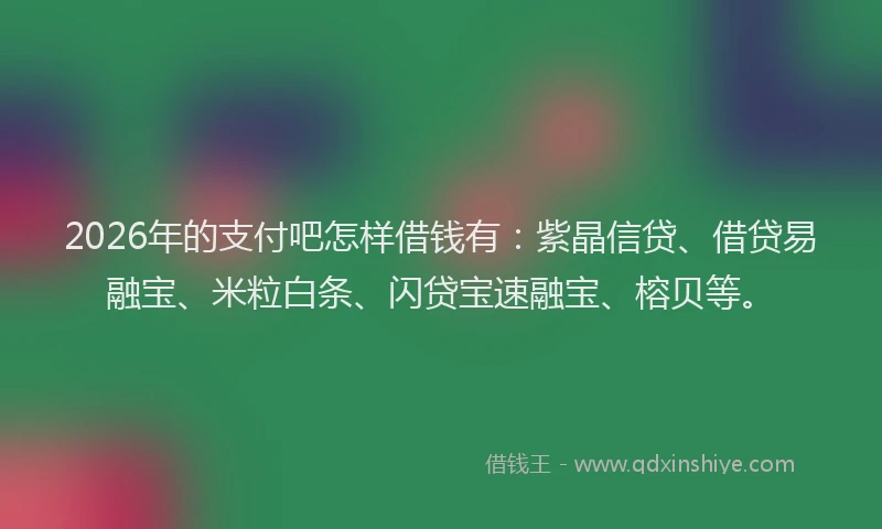 2026年的支付吧怎样借钱有：紫晶信贷、借贷易融宝、米粒白条、闪贷宝速融宝、榕贝等。
