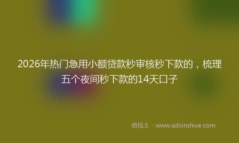 2026年热门急用小额贷款秒审核秒下款的，梳理五个夜间秒下款的14天口子