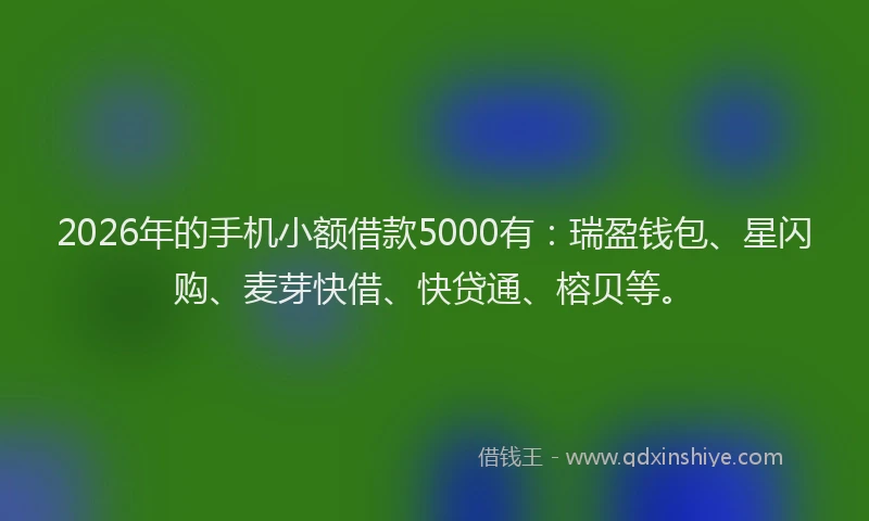 2026年的手机小额借款5000有：瑞盈钱包、星闪购、麦芽快借、快贷通、榕贝等。