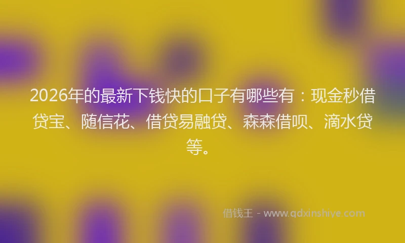 2026年的最新下钱快的口子有哪些有：现金秒借贷宝、随信花、借贷易融贷、森森借呗、滴水贷等。