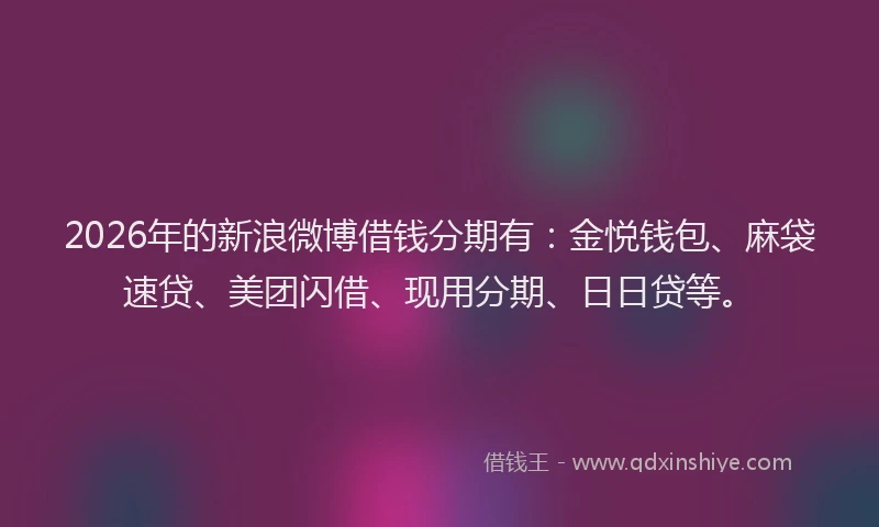 2026年的新浪微博借钱分期有：金悦钱包、麻袋速贷、美团闪借、现用分期、日日贷等。