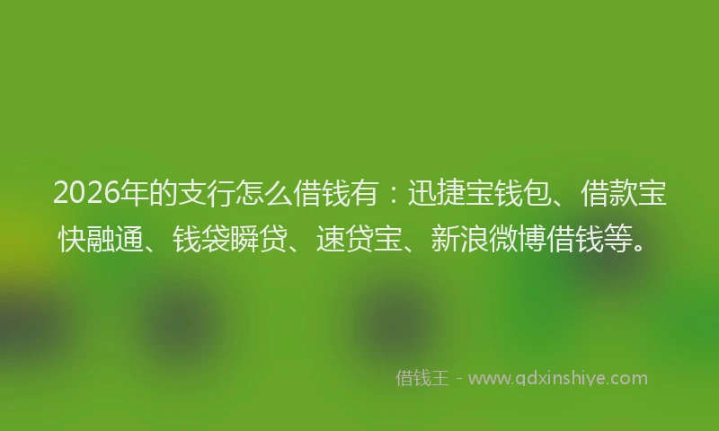 2026年的支行怎么借钱有：迅捷宝钱包、借款宝快融通、钱袋瞬贷、速贷宝、新浪微博借钱等。