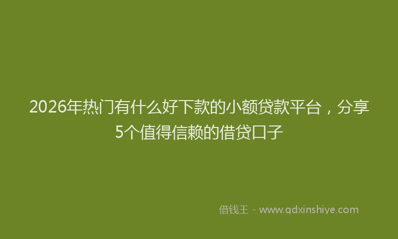 2026年热门有什么好下款的小额贷款平台，分享5个值得信赖的借贷口子