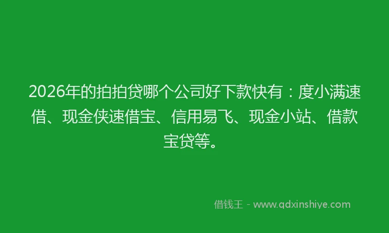 2026年的拍拍贷哪个公司好下款快有：度小满速借、现金侠速借宝、信用易飞、现金小站、借款宝贷等。