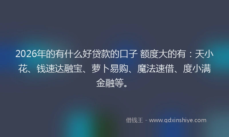 2026年的有什么好贷款的口子 额度大的有：天小花、钱速达融宝、萝卜易购、魔法速借、度小满金融等。