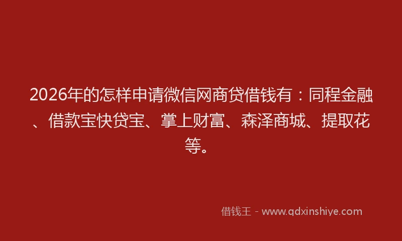2026年的怎样申请微信网商贷借钱有：同程金融、借款宝快贷宝、掌上财富、森泽商城、提取花等。