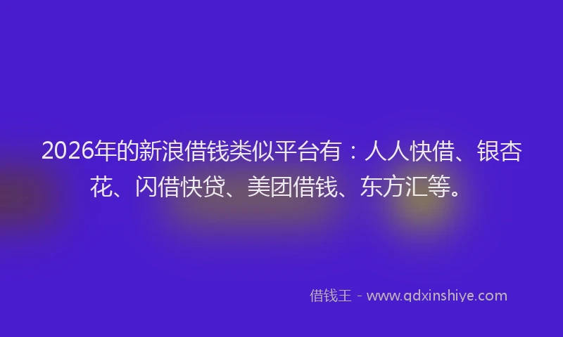 2026年的新浪借钱类似平台有：人人快借、银杏花、闪借快贷、美团借钱、东方汇等。