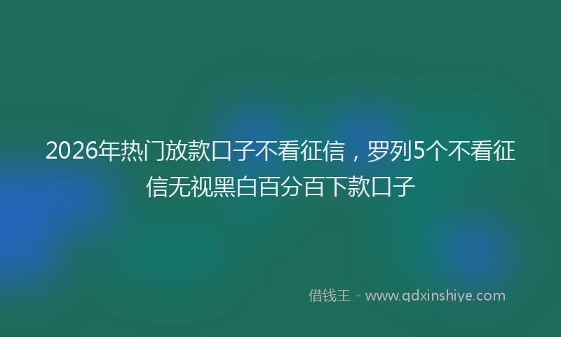 2026年热门放款口子不看征信，罗列5个不看征信无视黑白百分百下款口子