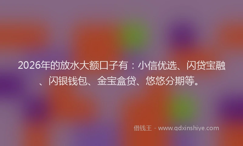 2026年的放水大额口子有：小信优选、闪贷宝融、闪银钱包、金宝盒贷、悠悠分期等。