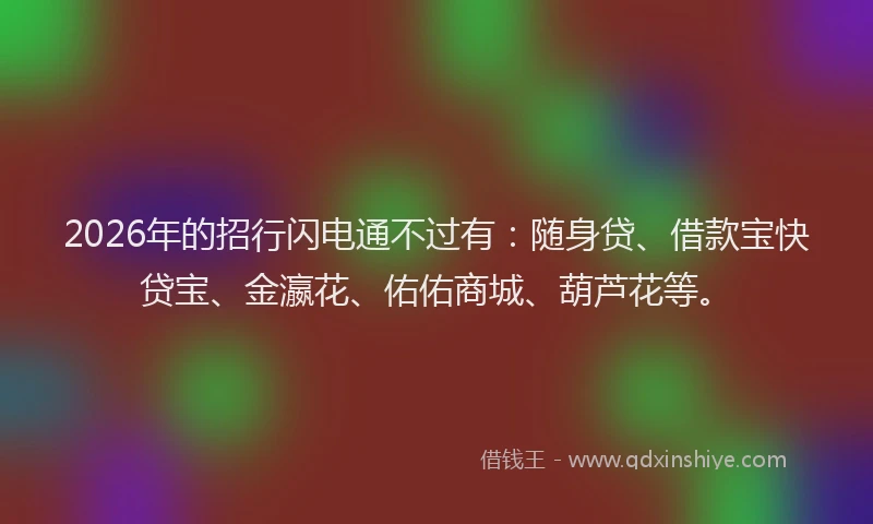 2026年的招行闪电通不过有：随身贷、借款宝快贷宝、金瀛花、佑佑商城、葫芦花等。