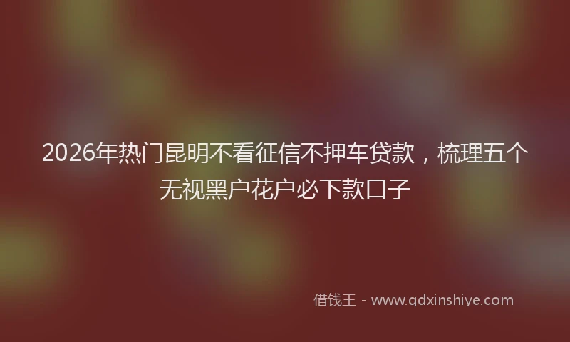 2026年热门昆明不看征信不押车贷款，梳理五个无视黑户花户必下款口子