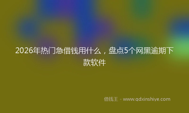 2026年热门急借钱用什么，盘点5个网黑逾期下款软件