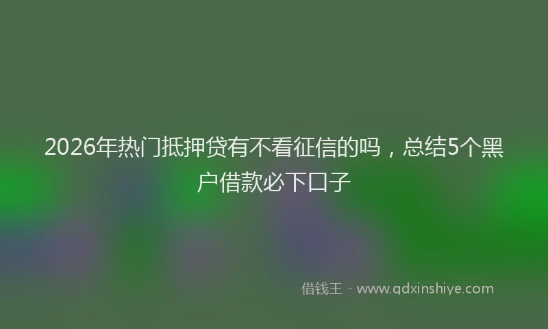 2026年热门抵押贷有不看征信的吗，总结5个黑户借款必下口子