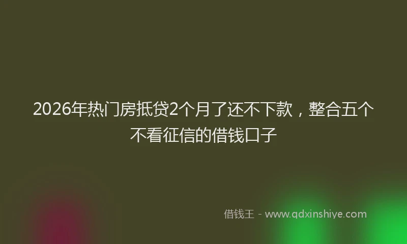 2026年热门房抵贷2个月了还不下款，整合五个不看征信的借钱口子