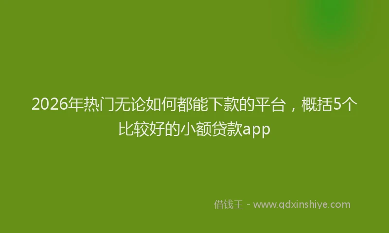 2026年热门无论如何都能下款的平台，概括5个比较好的小额贷款app