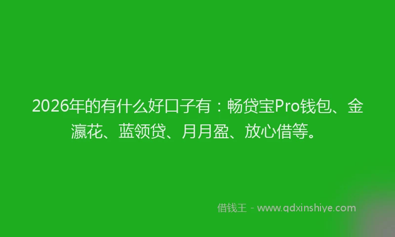2026年的有什么好口子有：畅贷宝Pro钱包、金瀛花、蓝领贷、月月盈、放心借等。