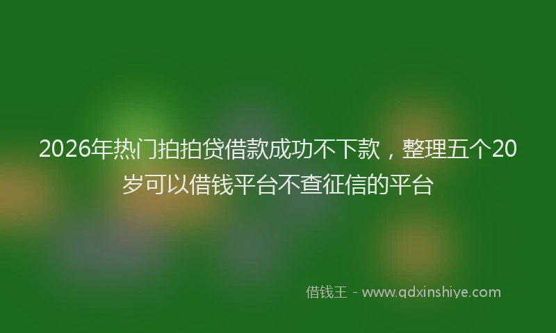 2026年热门拍拍贷借款成功不下款，整理五个20岁可以借钱平台不查征信的平台