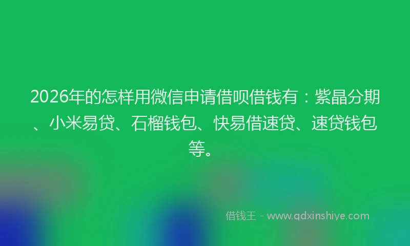 2026年的怎样用微信申请借呗借钱有:紫晶分期、小米易贷、石榴钱包、快易借速贷、速贷钱包等。