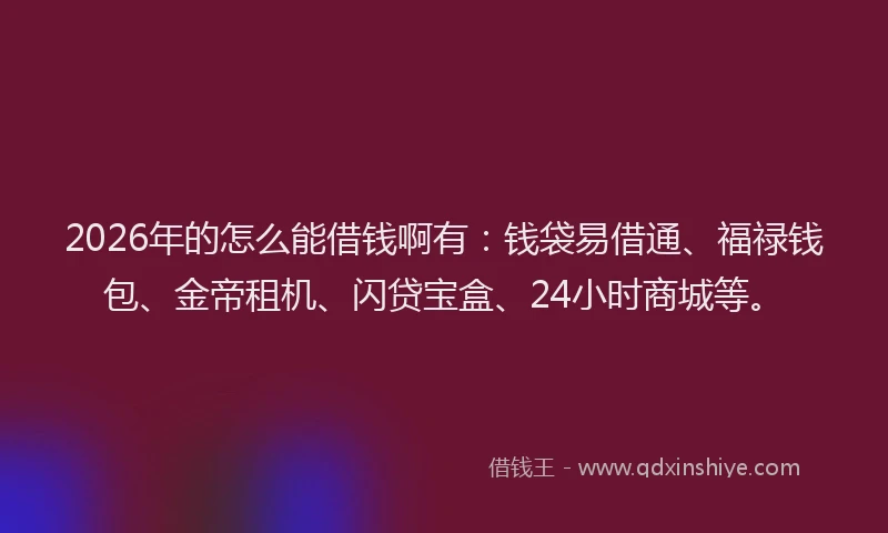 2026年的怎么能借钱啊有:钱袋易借通、福禄钱包、金帝租机、闪贷宝盒、24小时商城等。