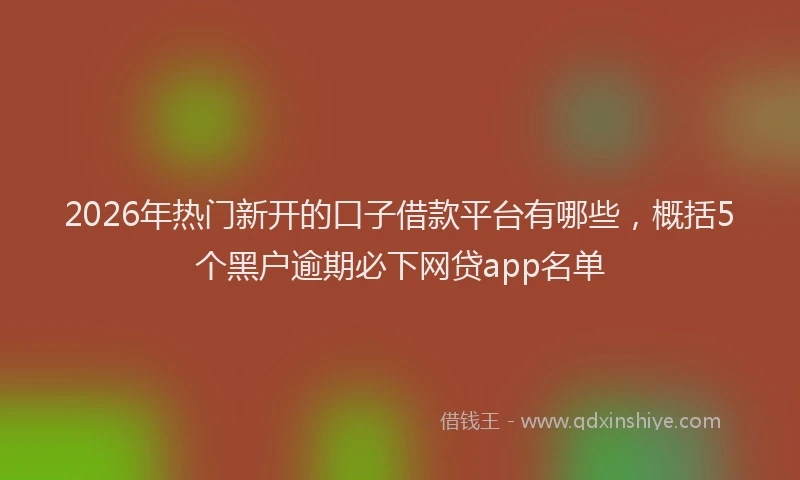 2026年热门新开的口子借款平台有哪些，概括5个黑户逾期必下网贷app名单
