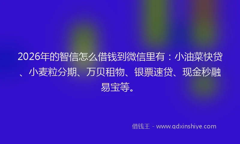 2026年的智信怎么借钱到微信里有：小油菜快贷、小麦粒分期、万贝租物、银票速贷、现金秒融易宝等。