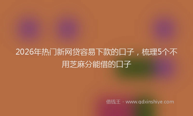 2026年热门新网贷容易下款的口子，梳理5个不用芝麻分能借的口子