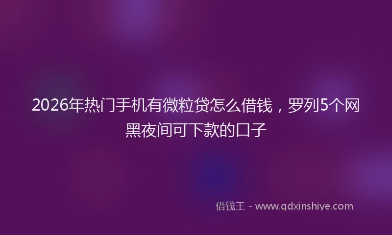 2026年热门手机有微粒贷怎么借钱,罗列5个网黑夜间可下款的口子