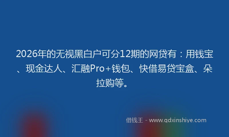 2026年的无视黑白户可分12期的网贷有：用钱宝、现金达人、汇融Pro+钱包、快借易贷宝盒、朵拉购等。