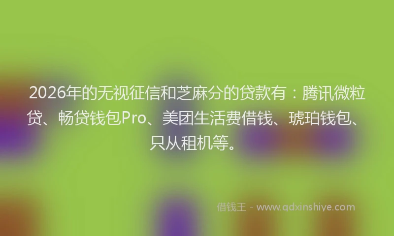 2026年的无视征信和芝麻分的贷款有：腾讯微粒贷、畅贷钱包Pro、美团生活费借钱、琥珀钱包、只从租机等。