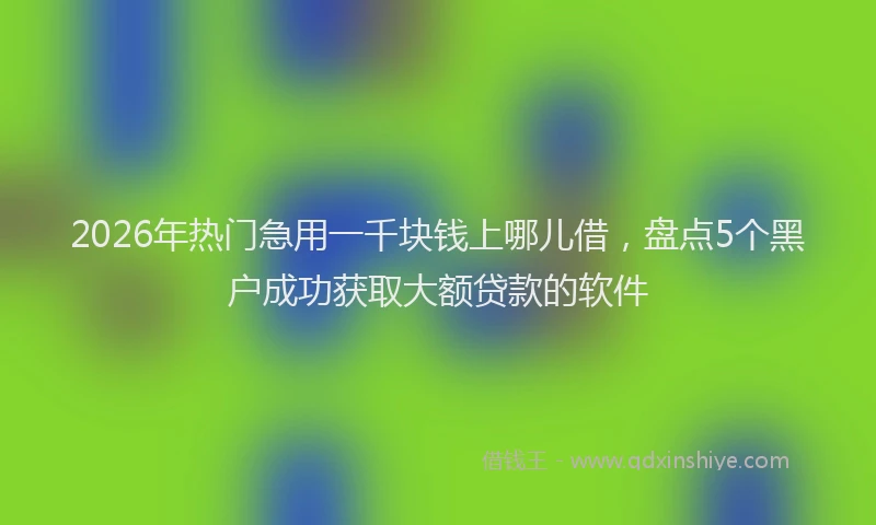 2026年热门急用一千块钱上哪儿借，盘点5个黑户成功获取大额贷款的软件