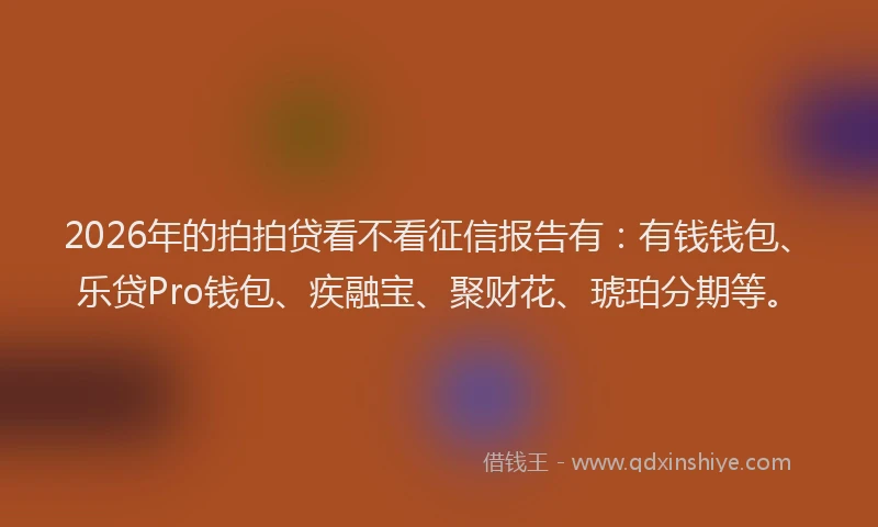 2026年的拍拍贷看不看征信报告有:有钱钱包、乐贷Pro钱包、疾融宝、聚财花、琥珀分期等。