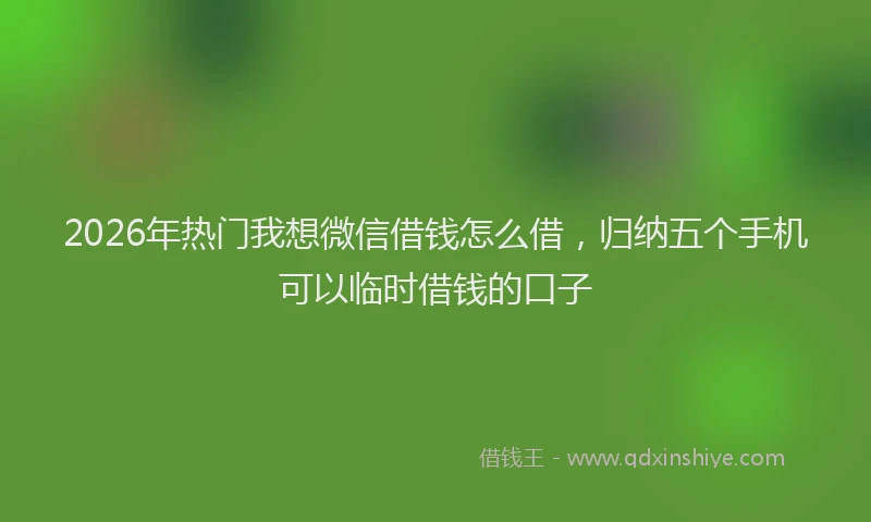 2026年热门我想微信借钱怎么借，归纳五个手机可以临时借钱的口子