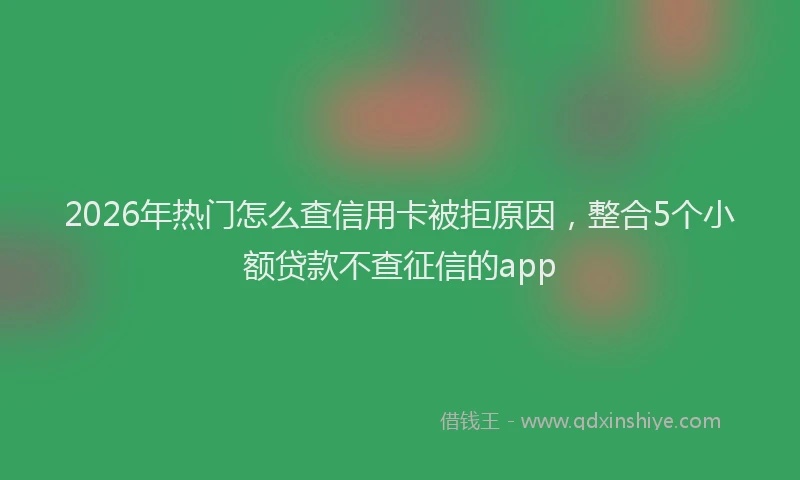 2026年热门怎么查信用卡被拒原因，整合5个小额贷款不查征信的app