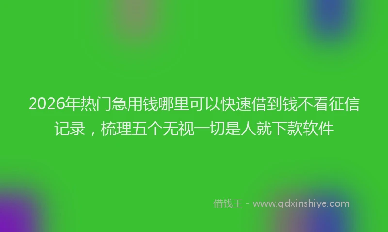 2026年热门急用钱哪里可以快速借到钱不看征信记录,梳理五个无视一切是人就下款软件