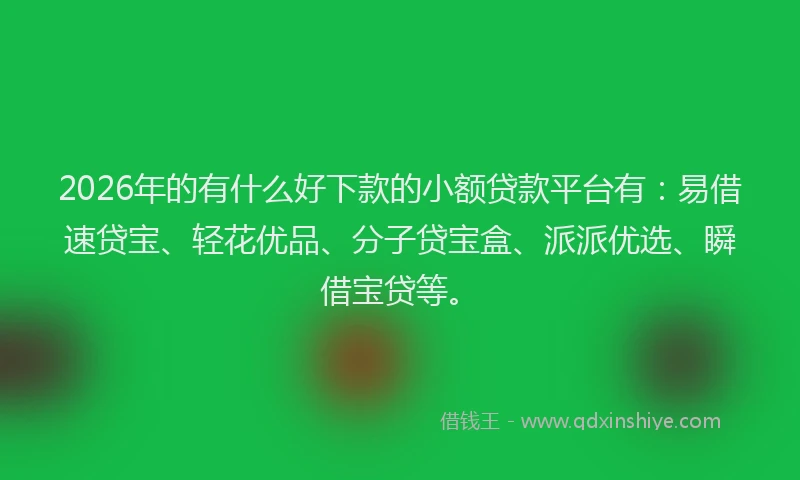 2026年的有什么好下款的小额贷款平台有：易借速贷宝、轻花优品、分子贷宝盒、派派优选、瞬借宝贷等。