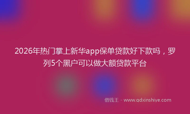 2026年热门掌上新华app保单贷款好下款吗，罗列5个黑户可以做大额贷款平台