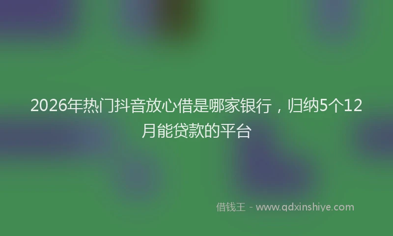 2026年热门抖音放心借是哪家银行，归纳5个12月能贷款的平台