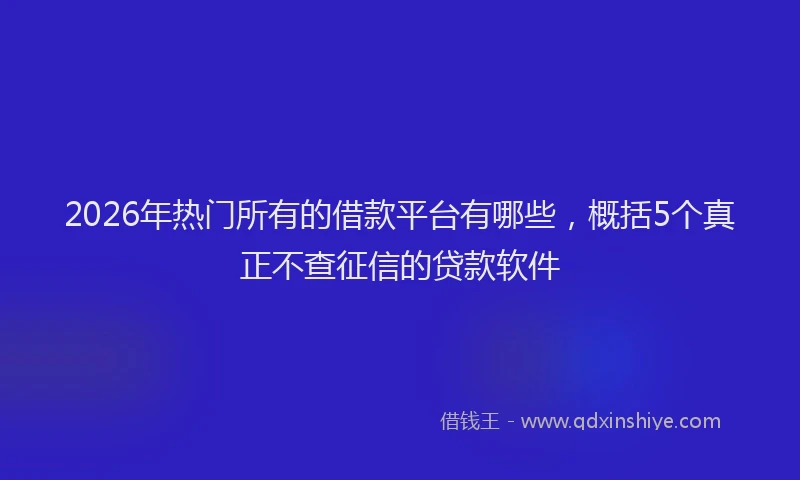 2026年热门所有的借款平台有哪些，概括5个真正不查征信的贷款软件