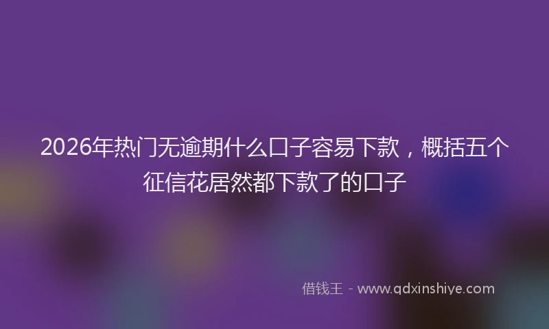 2026年热门无逾期什么口子容易下款，概括五个征信花居然都下款了的口子