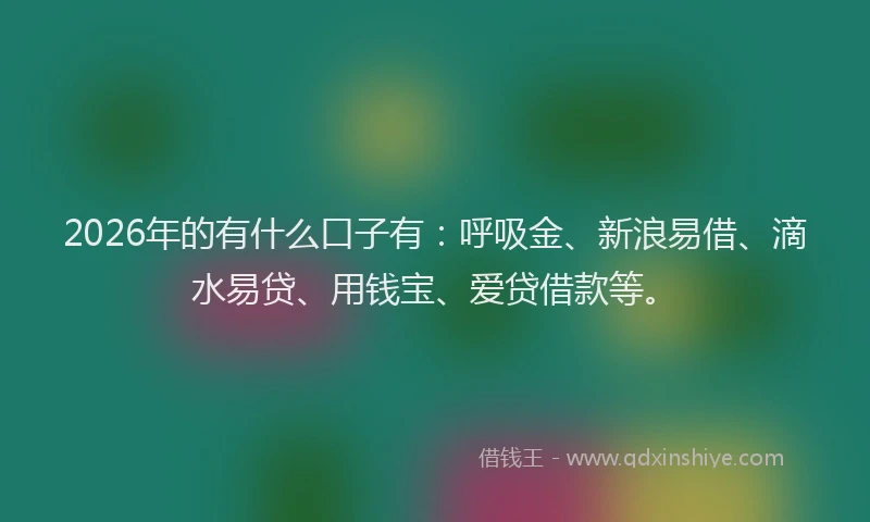 2026年的有什么口子有：呼吸金、新浪易借、滴水易贷、用钱宝、爱贷借款等。