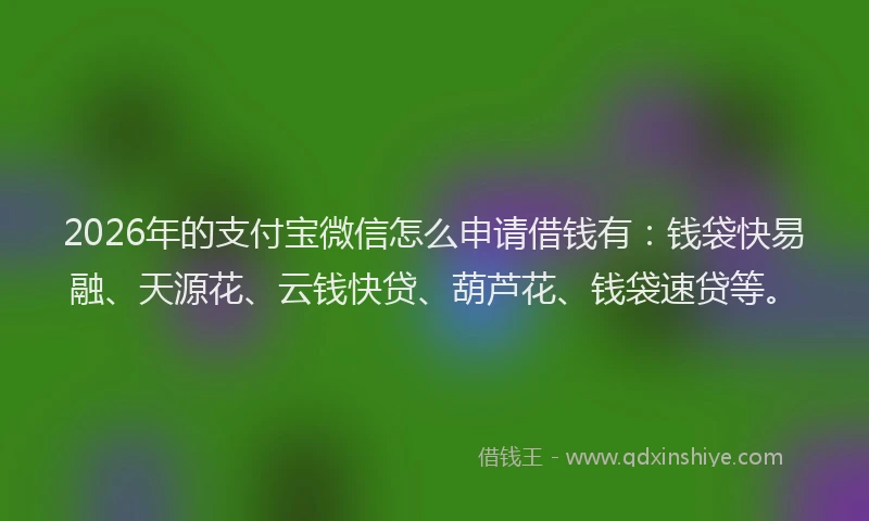 2026年的支付宝微信怎么申请借钱有：钱袋快易融、天源花、云钱快贷、葫芦花、钱袋速贷等。