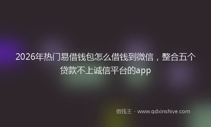 2026年热门易借钱包怎么借钱到微信，整合五个贷款不上诚信平台的app
