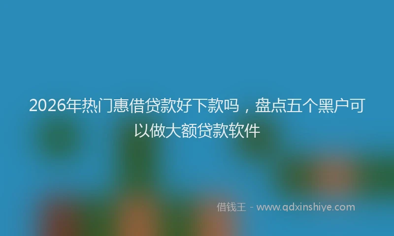 2026年热门惠借贷款好下款吗,盘点五个黑户可以做大额贷款软件