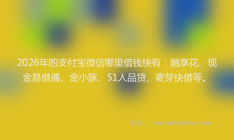 2026年的支付宝微信哪里借钱快有：融享花、现金易借通、金小豚、51人品贷、麦芽快借等。