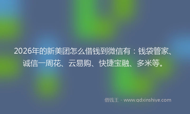 2026年的新美团怎么借钱到微信有：钱袋管家、诚信一周花、云易购、快捷宝融、多米等。